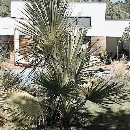 D'architecte Moon Villa *